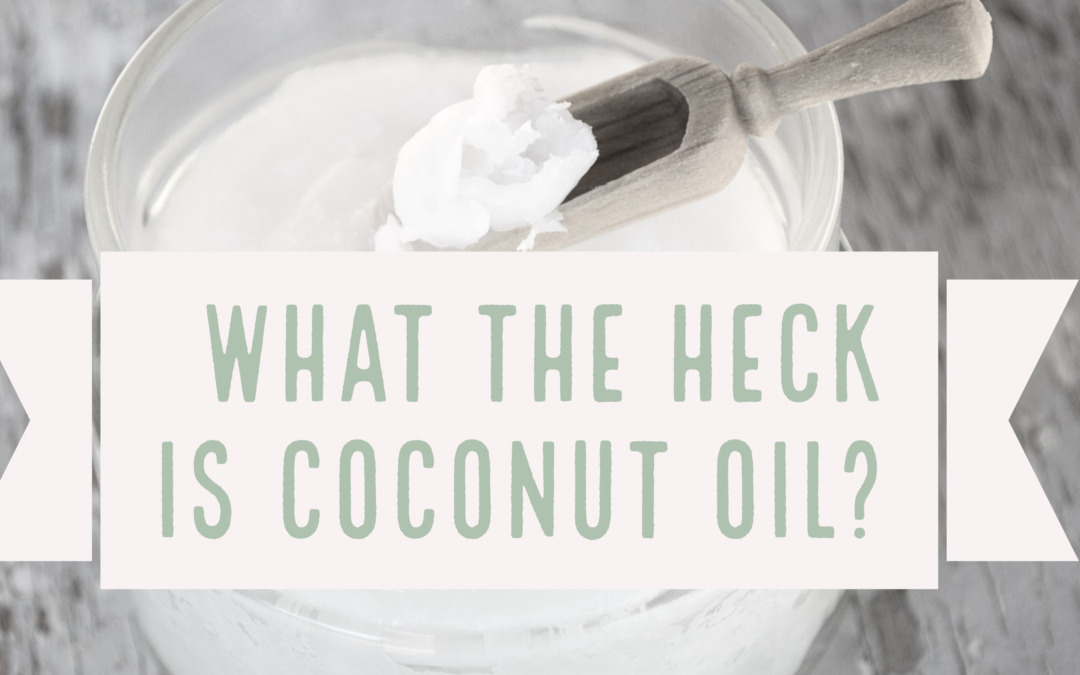 What the heck is coconut oil?  Should I be eating it?